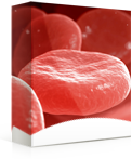 Bloodborne Pathogens