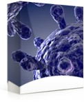 Infection Control and Prevention Basics for Healthcare Workplaces